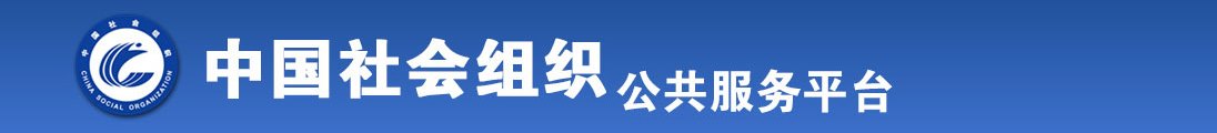 猛操BB全国社会组织信息查询